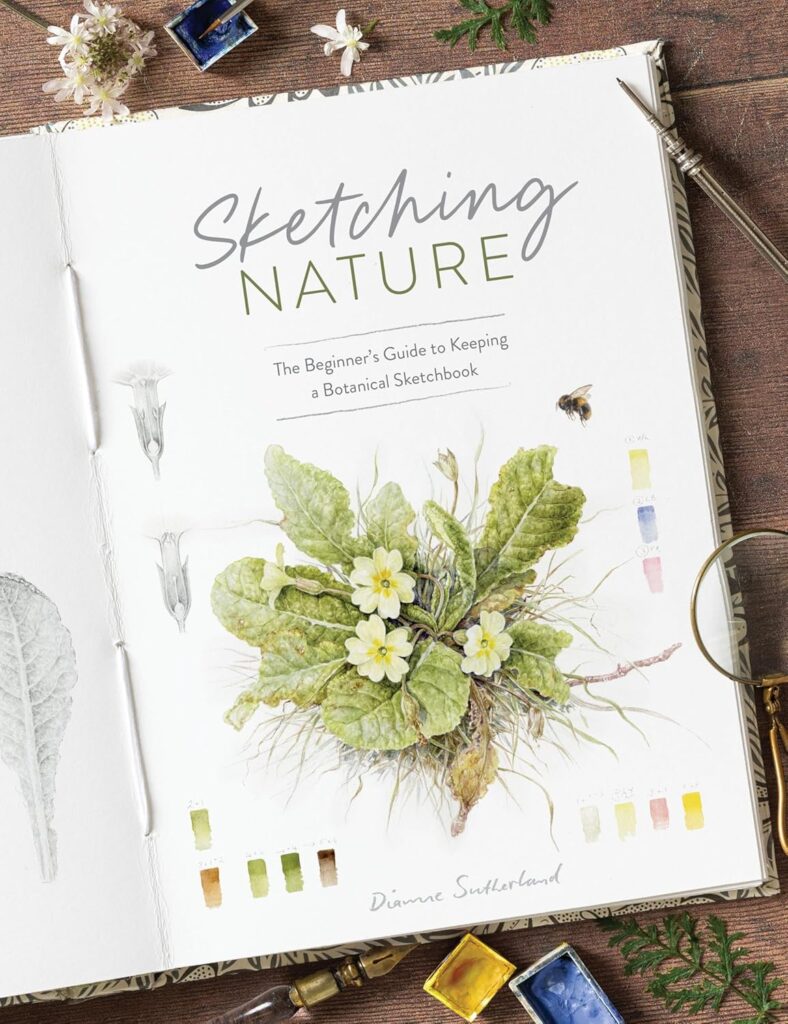 Sketching Nature by Dianne Sutherland